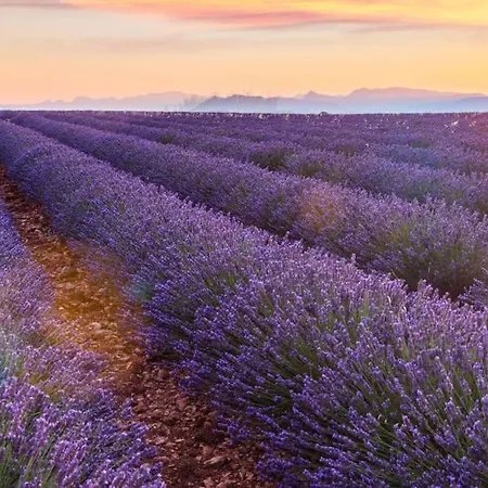 La Douceur Du Verdon