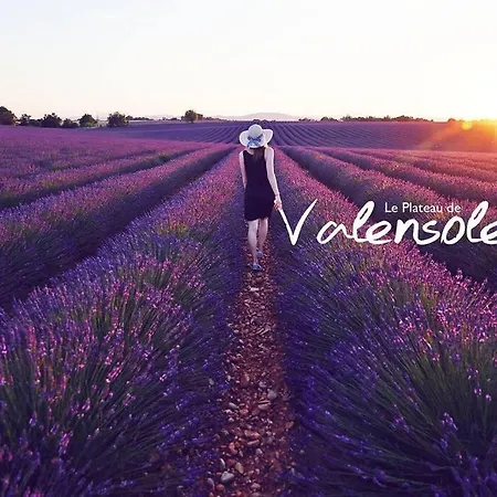 La Douceur Du Verdon *