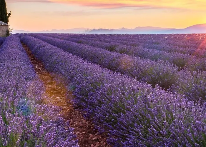 La Douceur Du Verdon